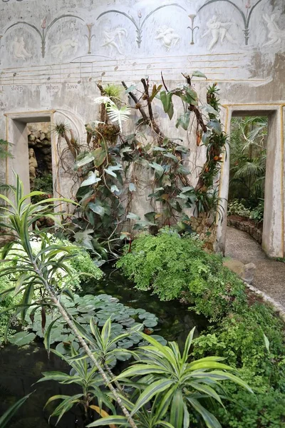 Forio Campania Italy May 2022 Interior Tropical Greenhouse Tempio Del — Stock Photo, Image