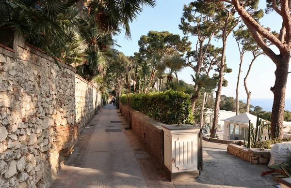 Capri, Campania, Italy - March 13, 2022: Glimpse of Via Tragara leading to the path that runs along the faraglioni