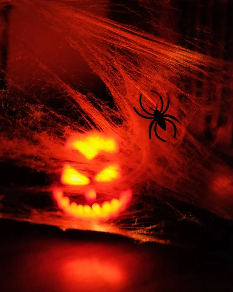 Blurred Halloween Head Jack Pumpkin with Scary Smile and Burning Candle Inside and Spider on the Web in Focus, Decoration for Party Night on Black Background — 스톡 사진