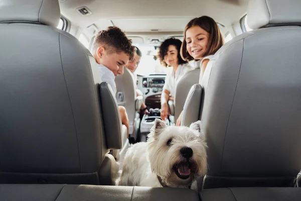 West Highland White Terrier Dog em Foco e Desfocado Quatro Membros Família Viajando de Minivan Carro, Mãe e Pai com Duas Crianças Adolescentes e Pet em uma Viagem de fim de semana — Fotografia de Stock