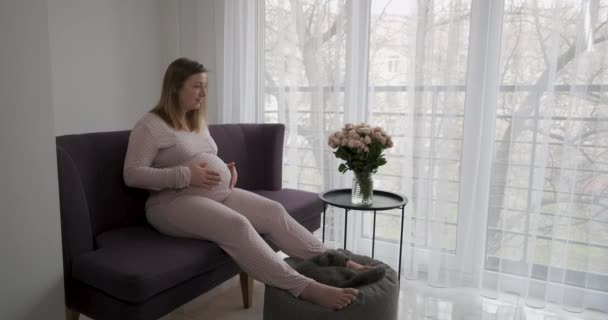 Femme enceinte caressant son gros ventre tout en se relaxant sur le canapé à la maison près du bouquet de fleurs roses et chat pliant écossais — Video