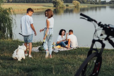 Orta yaşlı bir adam ve kadın piknik yaparken iki genç çocuk, oğulları ve kızları evcil köpekle oynuyorlardı. Mutlu dört aile üyesi göl kenarında dışarıda eğleniyorlardı.
