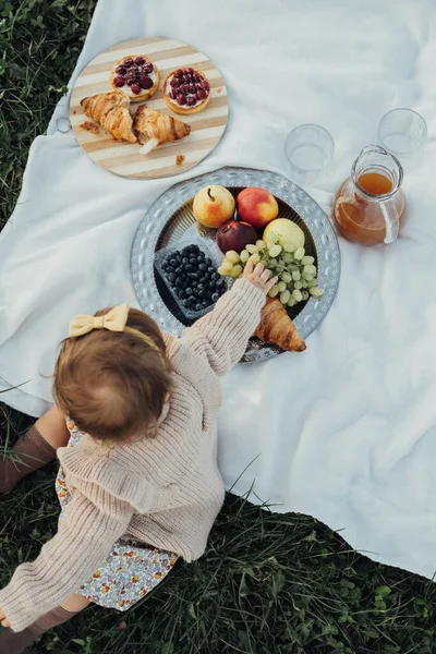 Pionowe Płaskie Ułożenie Dziewczynki Pikniku Świeżym Powietrzu Owoce Ciasta Rogalikami — Zdjęcie stockowe