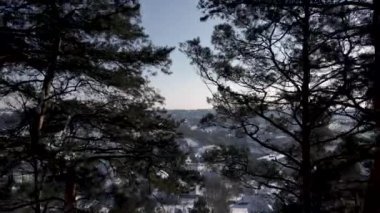 Hava Görünümü, İnsansız Hava Aracı Kış Parkı 'ndaki Ağaçların Arasından Uçuyor, Geçiş Kullanımı