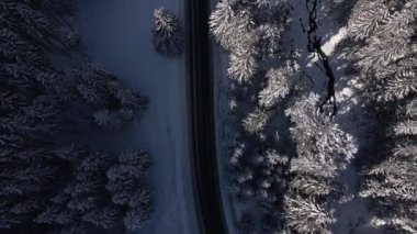 Güneşli Kış Günü 'nde Ormanlar Arasında Yol ve Nehir Sineması