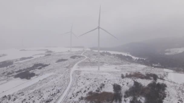 Luftaufnahme Eines Windparks Winter Rotierende Turbinen Auf Einem Verschneiten Feld — Stockvideo