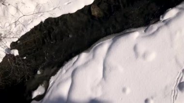 Güneşli Kış Günü 'nde Nehir ve Ormanın Yukarıya Uçan İHA Manzarası