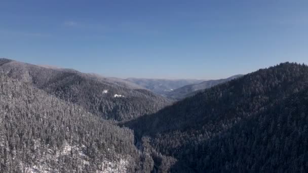Szenische Landschaft Der Winterkarpaten Wald Und Gebirgstäler Drohnenblick Video — Stockvideo