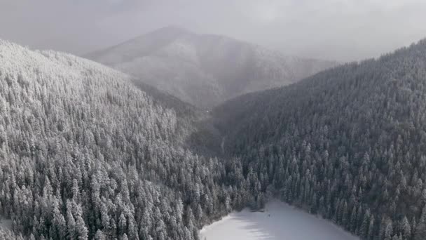 Luftaufnahme Von Gefrorenem Wald Mit Schneebedecktem See Winter Den Karpaten — Stockvideo