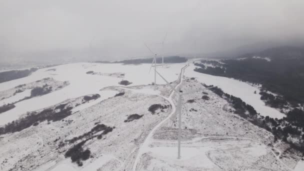 Vista Aérea Fazenda Eólica Inverno Girando Turbinas Campo Nevado Ucrânia — Vídeo de Stock