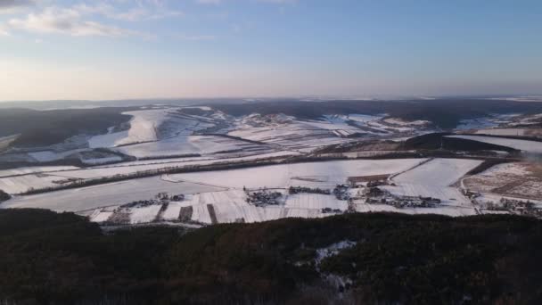 Aerial Drone View Fly Snowy Field Winter Landscape — Stock Video