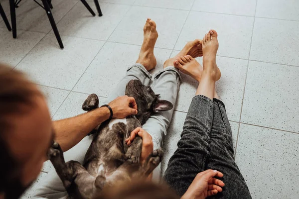 Unrecognisable Man Woman Sitting Floor Home French Bulldog Relaxing Owners — ストック写真