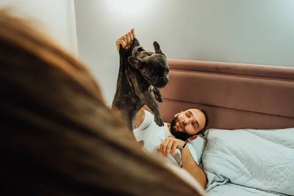 Man Holding His Dog by Skin, French Bulldog Looking Pitifully After He Bite Human at Home