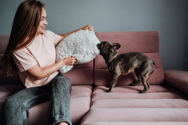 French Bulldog Biting Pillow Pink Sofa Home While Cheerful Woman — ストック写真