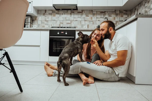 Cheerful Woman and Man Having Fun Time at Kitchen with Their Dog, French Bulldog with Family at Home