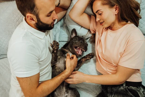 Счастливая Пара Мужчина Женщина Лежат Постели Своей Собакой Смешной Французский — стоковое фото