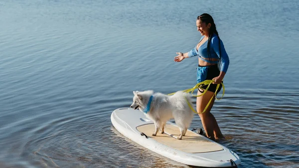 Woman Preparing Paddleboarding Her Dog Japanese Spitz Sitting Sup Board — Foto Stock