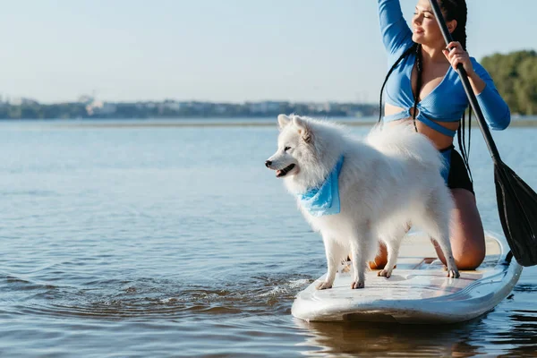 Japanese Spitz Dog Standing Sup Board Woman Paddleboarding Her Pet — Stock Photo, Image