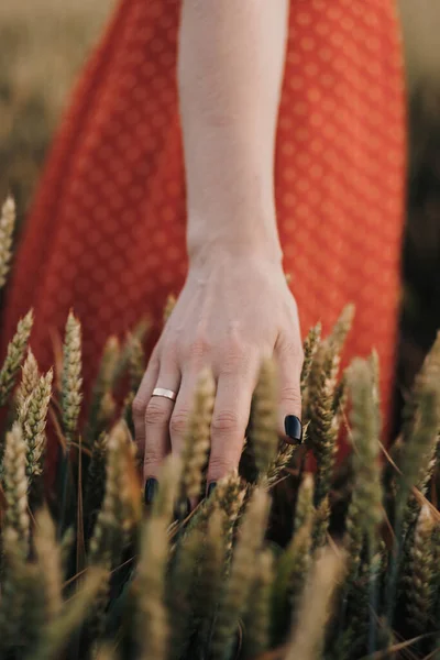 Close Womans Hand Touching Wheat Field — Stock Fotó