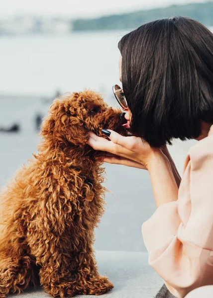 Brunette Woman Kissing Her Pet Redhead Dog Breed Toy Poodle — Photo