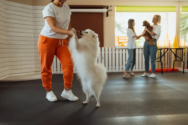 Dog Trainer Work Japanese Spitz People Pet House Poodle — Stock Photo, Image