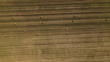 Buğday tarlasında tepeden aşağıya doğru saman yığınları, İHA 'lar havada uçuşuyor, üstten çekim yapılıyor.