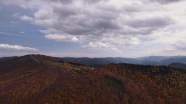Karpatlar 'da sonbahar mevsiminde gökyüzü manzaralı ve renkli ormanlar, İHA' lar sararmış sonbahar ağaçlarıyla dağın üzerinden uçar.