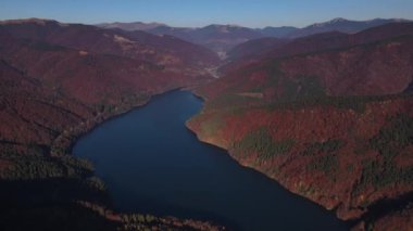 Köknar ağaçlarının arasındaki göl manzarası, ufuktaki dağlar, güneşli sonbahar gününün erken saatlerinde baraj gölünün üzerinden ileri doğru uçuyor.