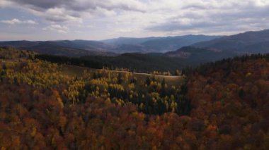 Karpatya 'daki manzaralı ve renkli dağların ve ormanların hava panoramik görüntüsü, sarı sonbahar renkli ağaçlarla kaplı açıklığın etrafında dönen insansız hava aracı.