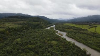 Ormanlar arasında geniş Stryi nehri üzerinde hava panoramik görüntüsü, drone geriye doğru uçuyor
