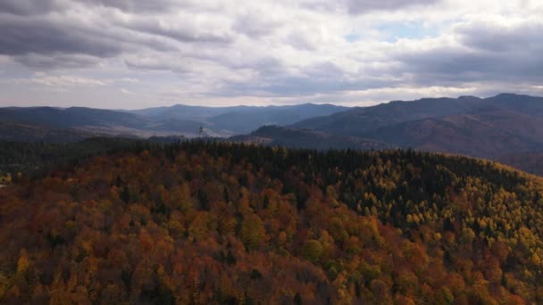 Drone Orbital Shot Antenna Top Mountain Yellowed Autumn Colored Trees — Stock Video