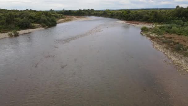 Luftaufnahme Eines Breiten Flusses Inmitten Von Wäldern Drohne Fliegt Vorwärts — Stockvideo