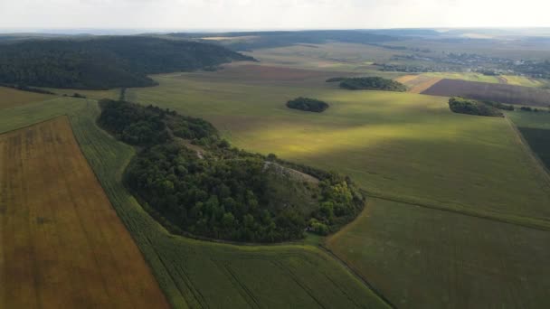 パノラマの景色を空中から眺め ドローンは農業分野を飛び越えます — ストック動画