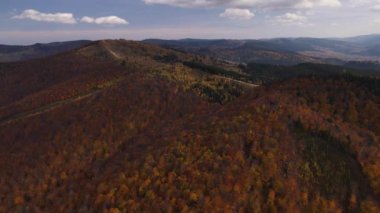 Karpatlar 'da sonbahar mevsiminde gökyüzü manzarası ve renkli orman, İHA sarı sonbahar ağaçlarıyla dağın üzerinden geriye doğru uçuyor.