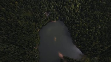 Ağaçların arasındaki Synevyr Gölü 'nün aşağı bakan muhteşem havadan görünüşü, İHA yavaşça geriye doğru uçuyor ve