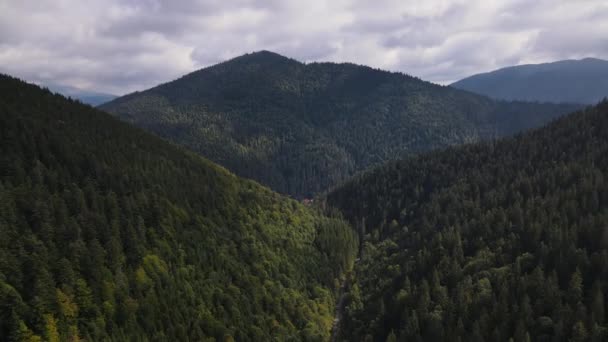 Vue Aérienne Panoramique Des Montagnes Vertes Drone Vole Rapidement Vers — Video