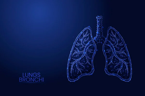 Ludzkie płuca z tchawicą i oskrzeli niski poli koncepcja wektor ilustracji. — Wektor stockowy