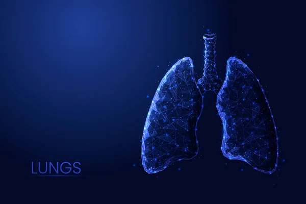 Ludzkie płuca i tchawica niski poli pojęcie wektor ilustracji. — Wektor stockowy