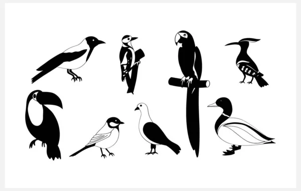 Doodle Bird Set Clip Art Isolated Animal Art Stencil Bird — Archivo Imágenes Vectoriales