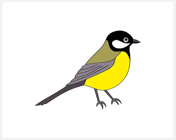 Doodle Titmouse Clip Art Ізольовано Рука Намальована Тварина Рука Намальована — стоковий вектор