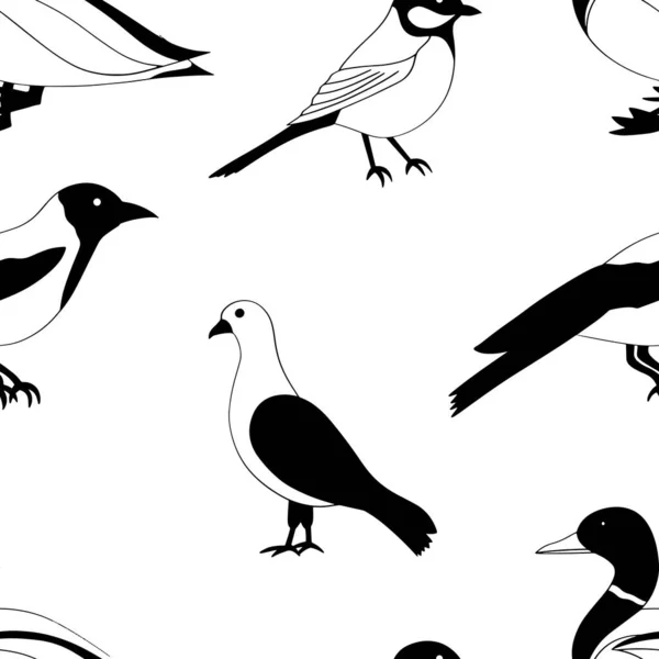 Doodle Oiseau Motif Sans Couture Animal Dessiné Main Oiseau Dessiné — Image vectorielle