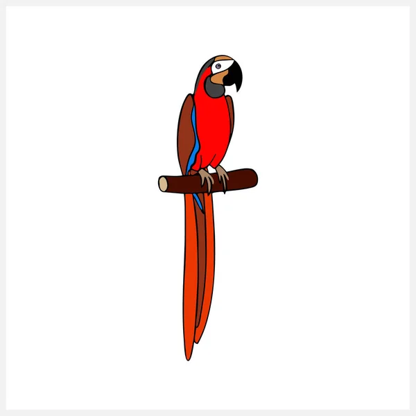 Doodle Parrot Bird Clip Art Isolated Hand Drawn Animal Vector — Stock Vector