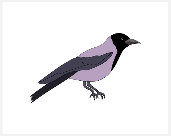 Doodle Rabenvogel Clip Art Isoliert Handgezeichnetes Tier Vektor Stock Illustration — Stockvektor