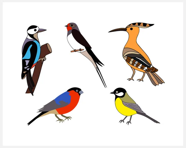 Doodle Bird Set Clip Art Isolé Animal Dessiné Main Oiseau — Image vectorielle