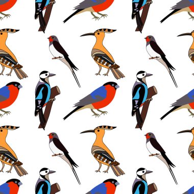 Karalamalı kuş deseni. El yapımı hayvan. El çizimi kuş. Vektör hisse senedi çizimi. EPS 10