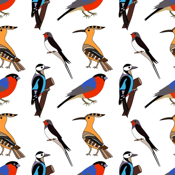 Безшовний Візерунок Птахів Doodle Рука Намальована Тварина Рука Намальована Пташкою — стоковий вектор