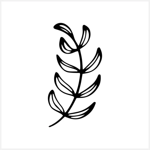 Branch Leaves Icon Isolated Eco Clip Art Laurel Vector Stock —  Vetores de Stock