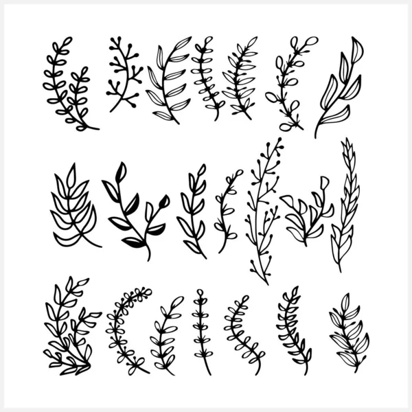 Yaprak simgesiyle ayrılmış bir dal. Eko klipsli sanat. Vektör hisse senedi çizimi. EPS 10