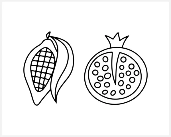 Grenade Cocoa Fruit Icon Doodle Food Hand Drawn Art Line — Vetor de Stock