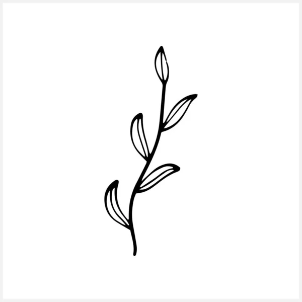 Branch Leaves Icon Isolated Eco Clip Art Laurel Vector Stock — ストックベクタ